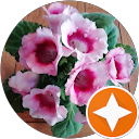 Mari M. profile picture