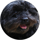 pierre B profile picture